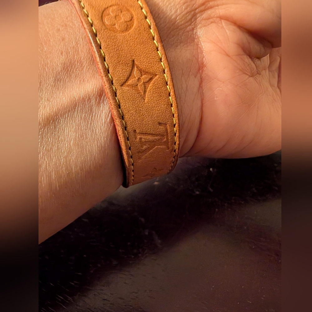 Gorgeous Louis Vuitton Paris Leather LV Good Luck Series - Picture 12 of 13